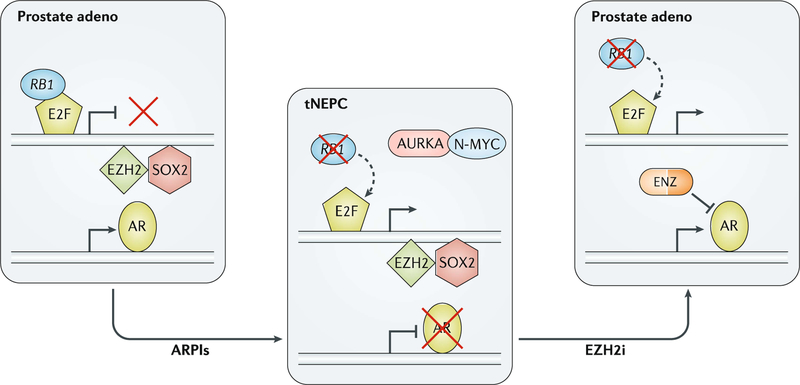 Fig. 6 |