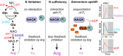 FIG 7