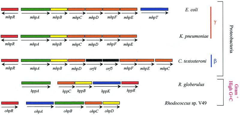 FIG. 10