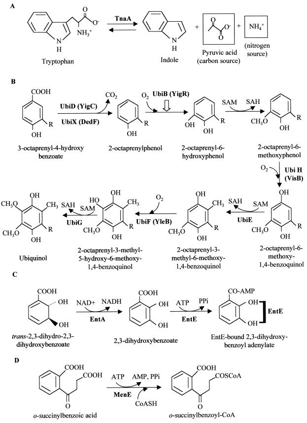 FIG. 7