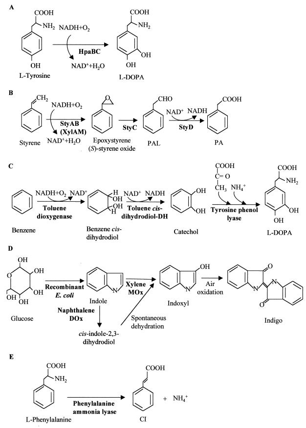 FIG. 12