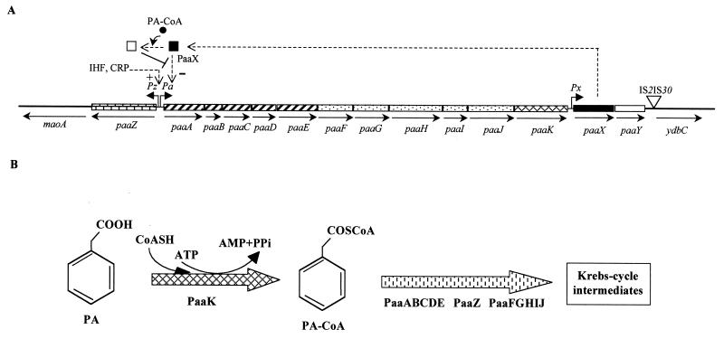 FIG. 5