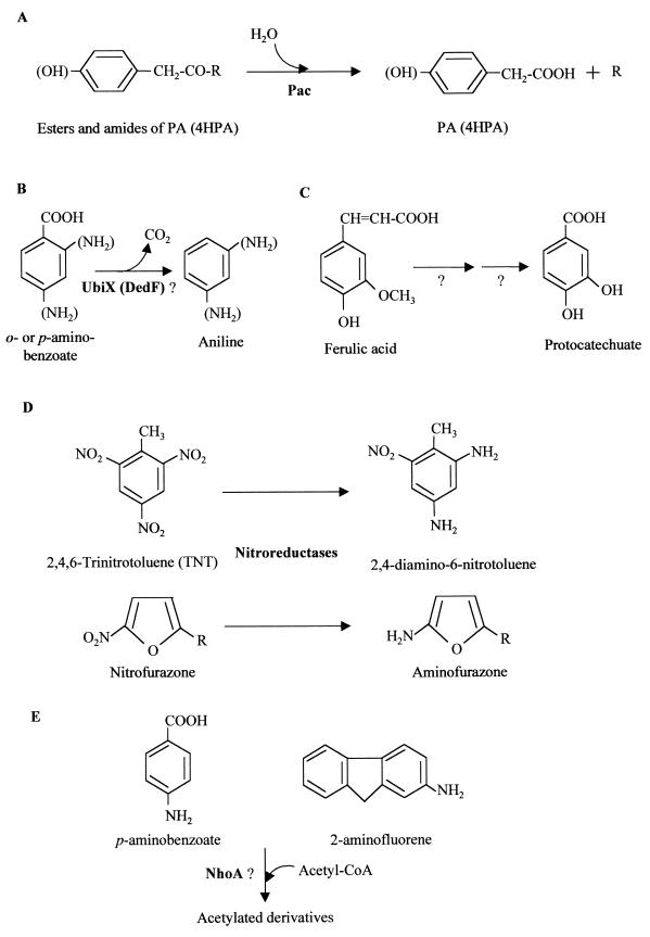 FIG. 8