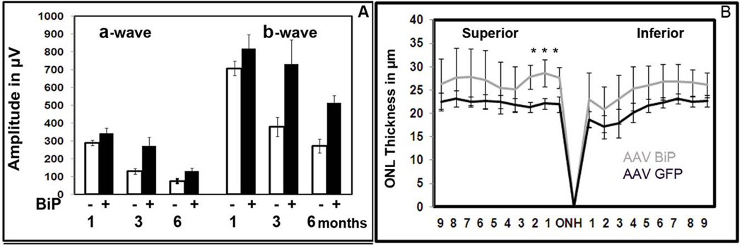 Fig. XX.2