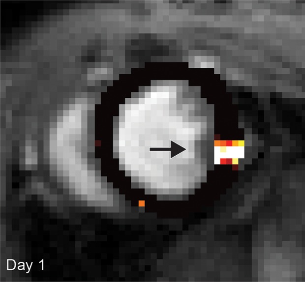 Figure 1a: