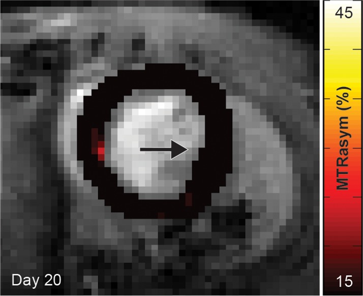 Figure 2b: