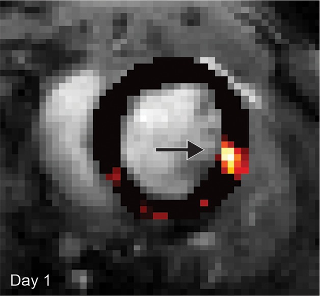 Figure 2a: