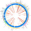 Fig. 2 |