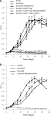 FIG. 3.
