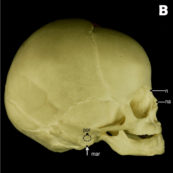 Figure 1: