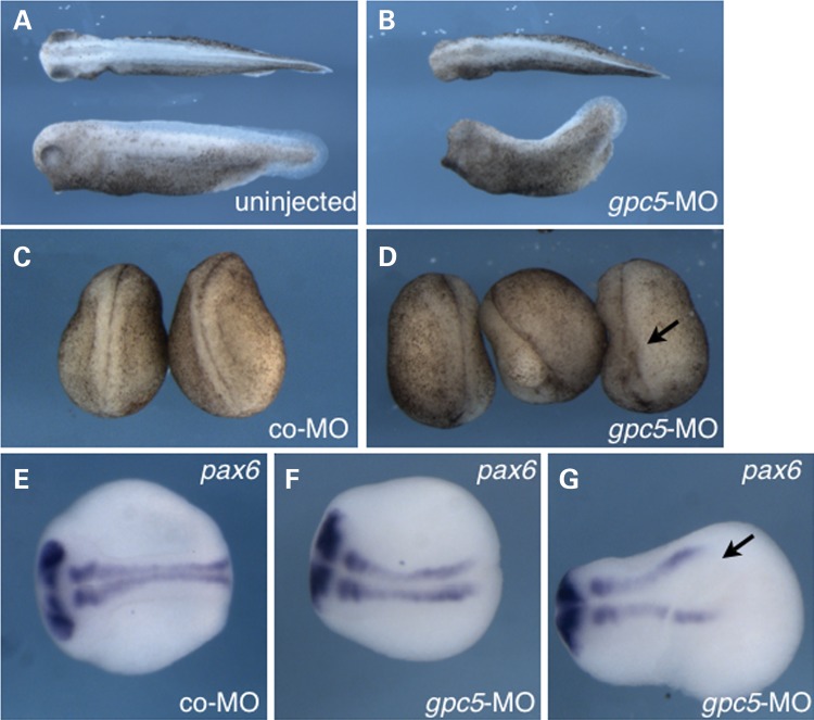 Figure 3.