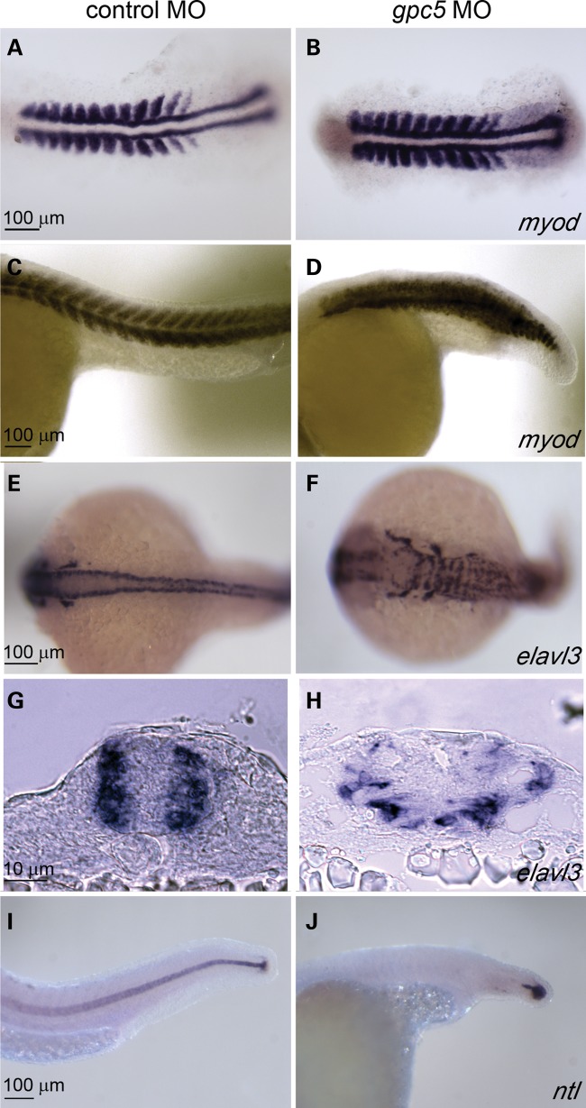 Figure 4.