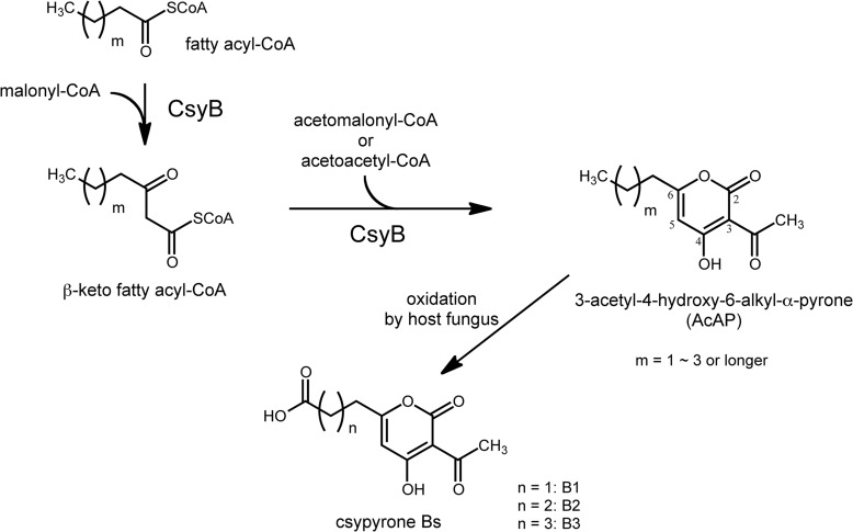 FIGURE 1.