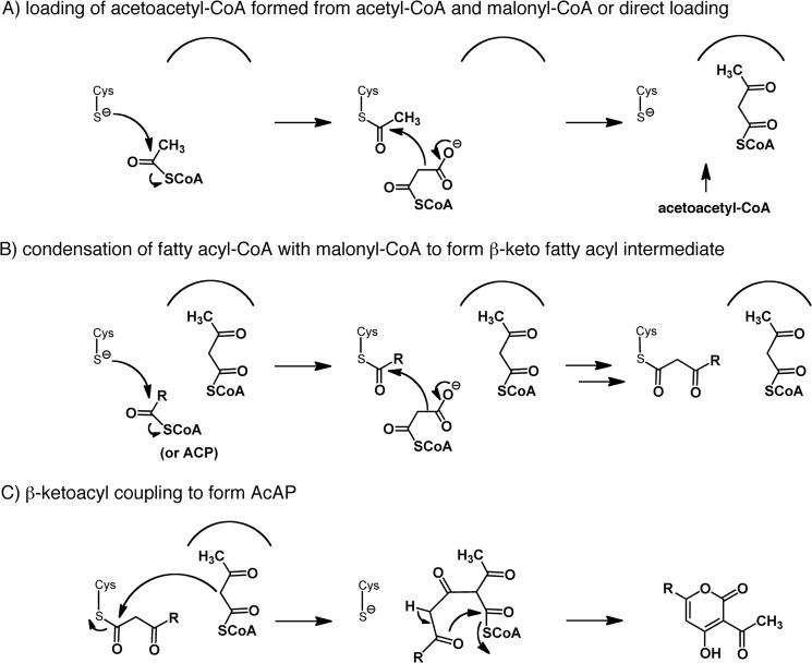 FIGURE 9.