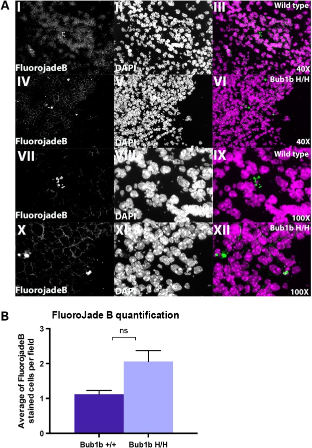 Figure 4.