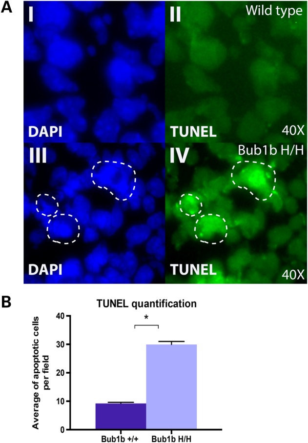 Figure 3.