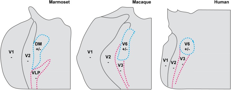 Fig. 11.