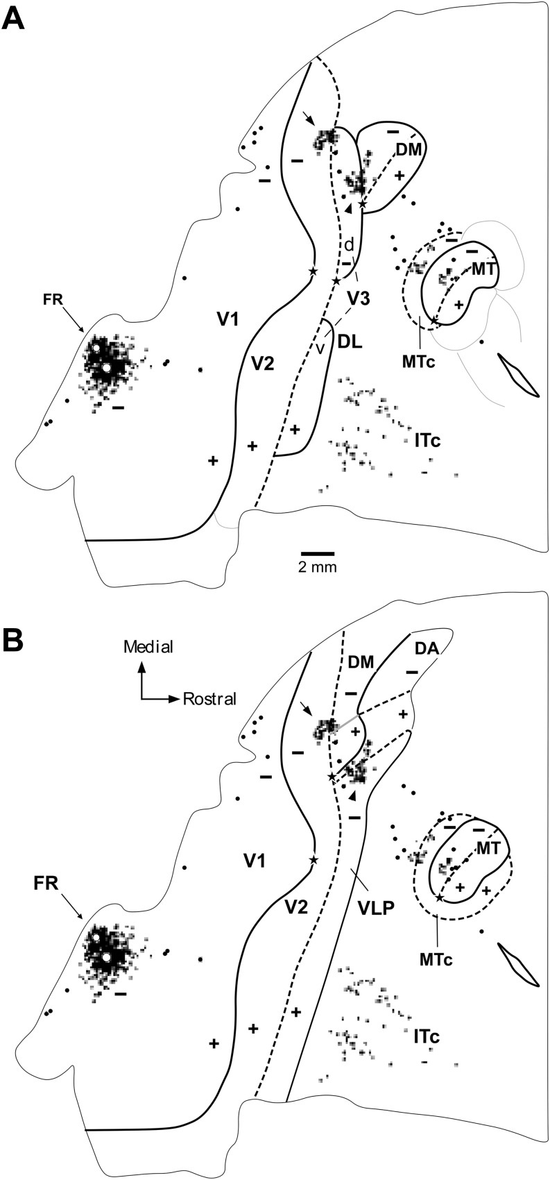 Fig. 8.