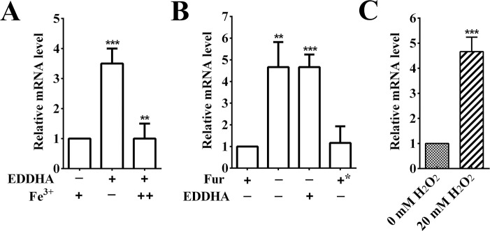 Fig 5