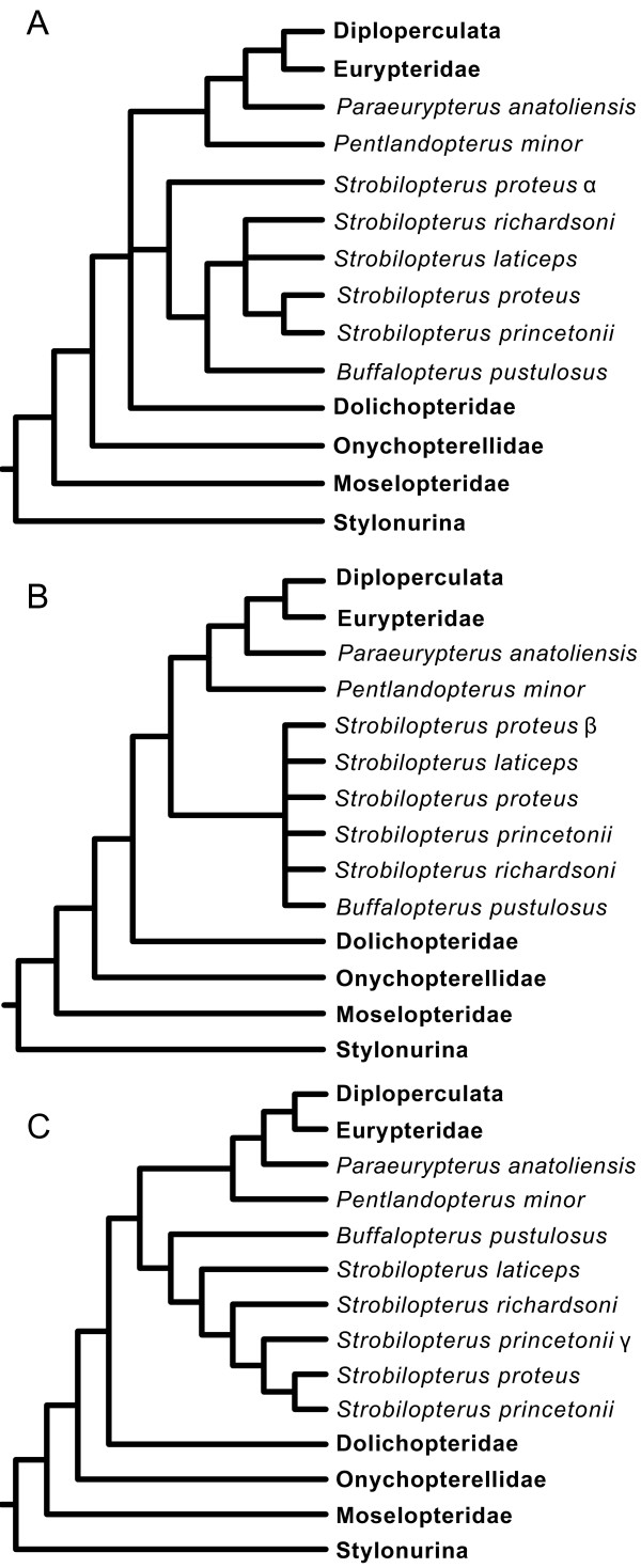 Figure 29