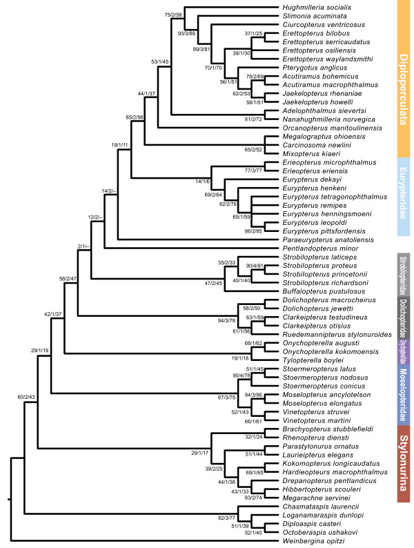 Figure 23