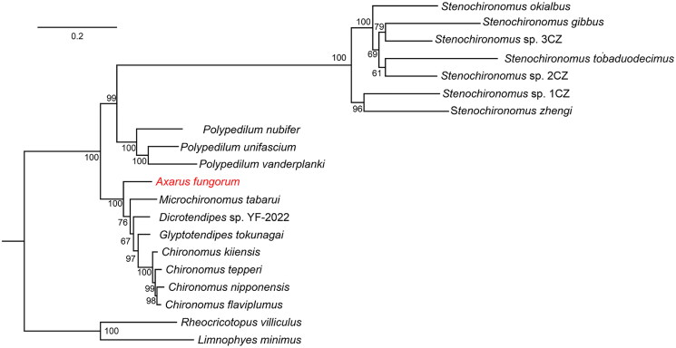 Figure 1.