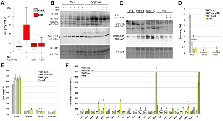 Figure 5—figure supplement 1.