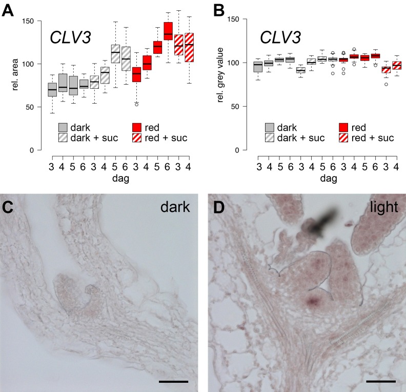 Figure 1—figure supplement 1.