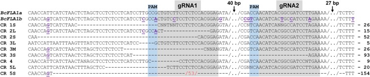 FIGURE 11