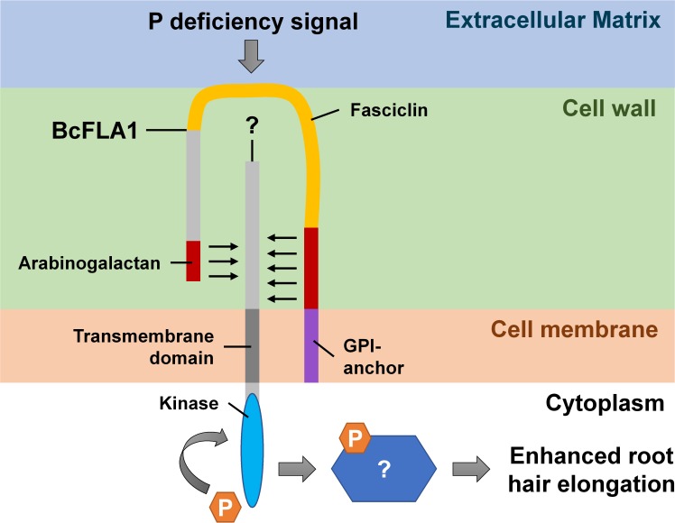 FIGURE 14