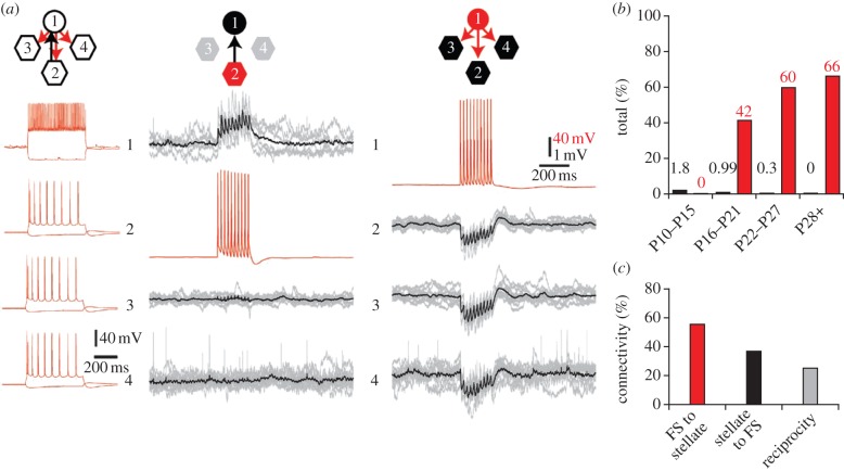 Figure 1.