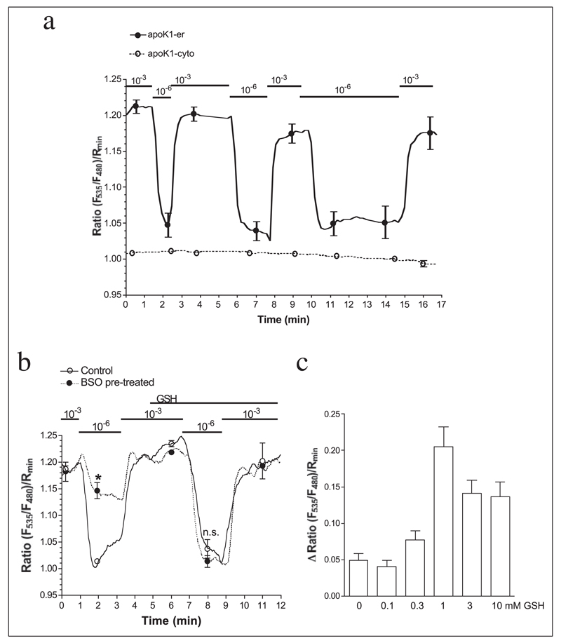 FIGURE 4.