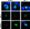 FIG. 4.