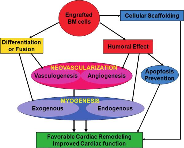 FIG. 7