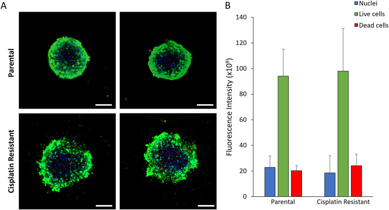 FIGURE 3