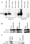 FIG. 7.