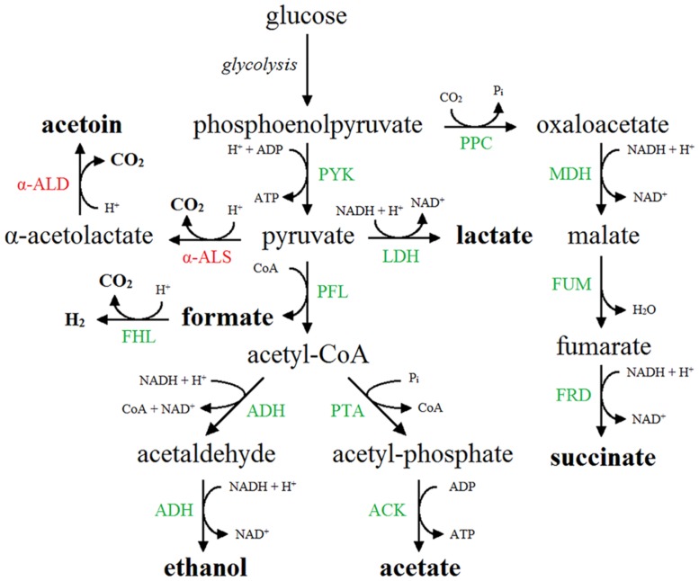 FIGURE 2