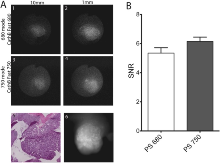 Fig 4