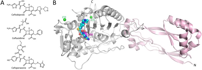 FIG 1