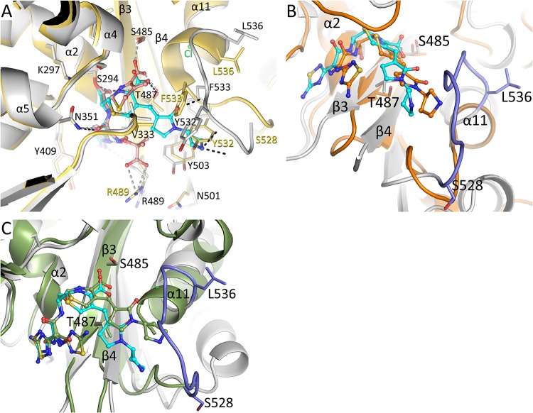 FIG 3