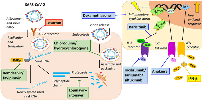 FIGURE 1