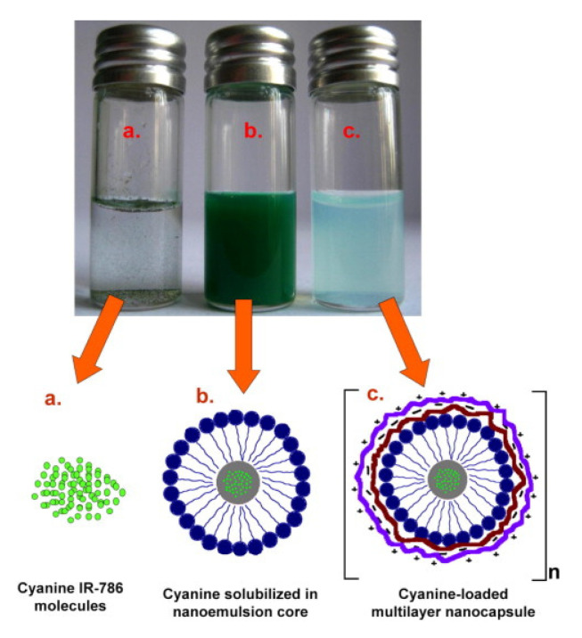 Figure 11