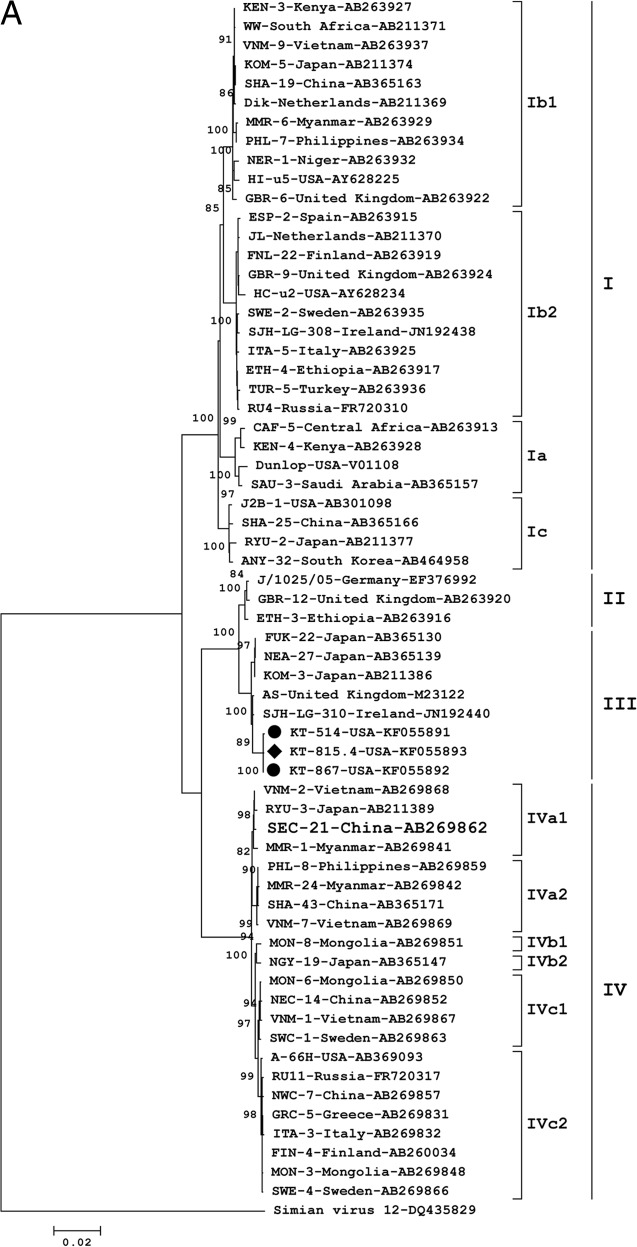 Fig 2