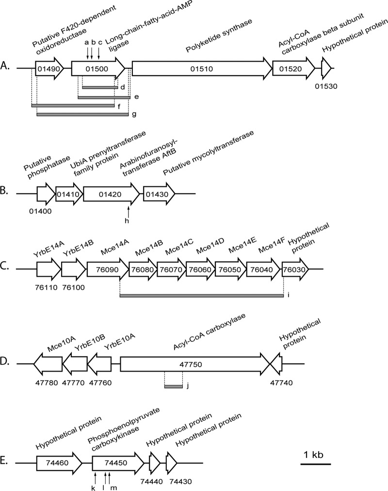 FIG 2