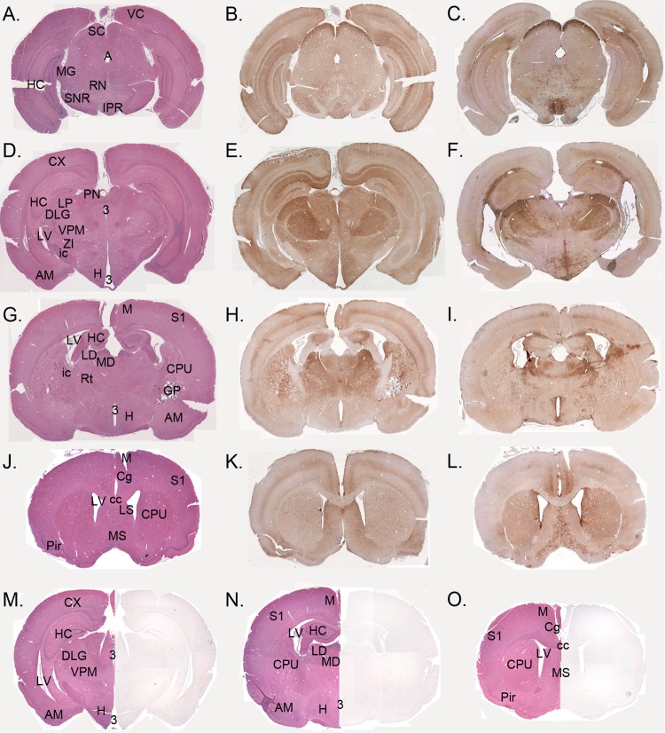 FIG 2