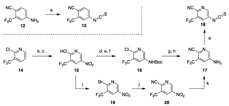 Scheme 2