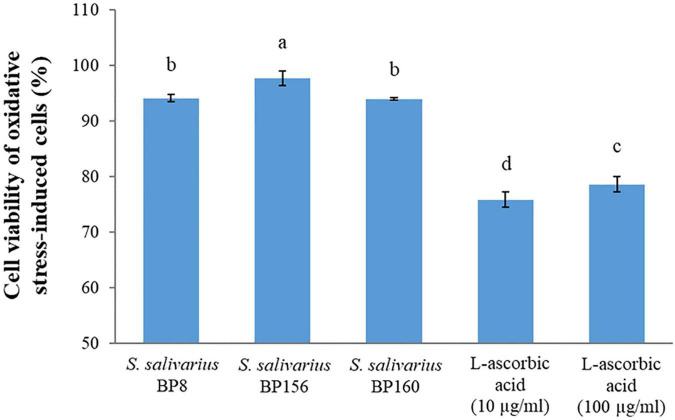 FIGURE 11