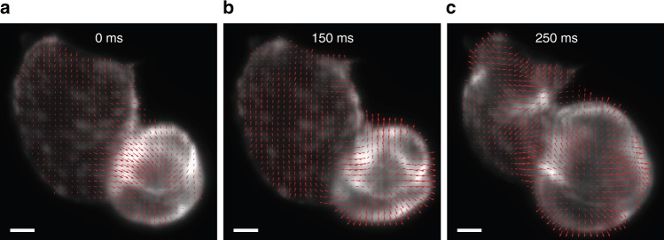 Fig. 3