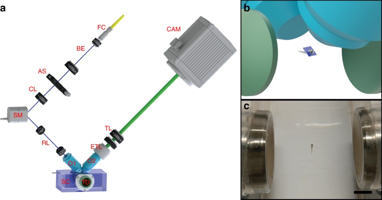 Fig. 1