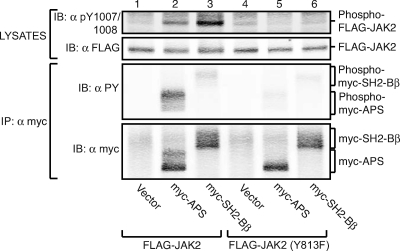 FIG. 4.